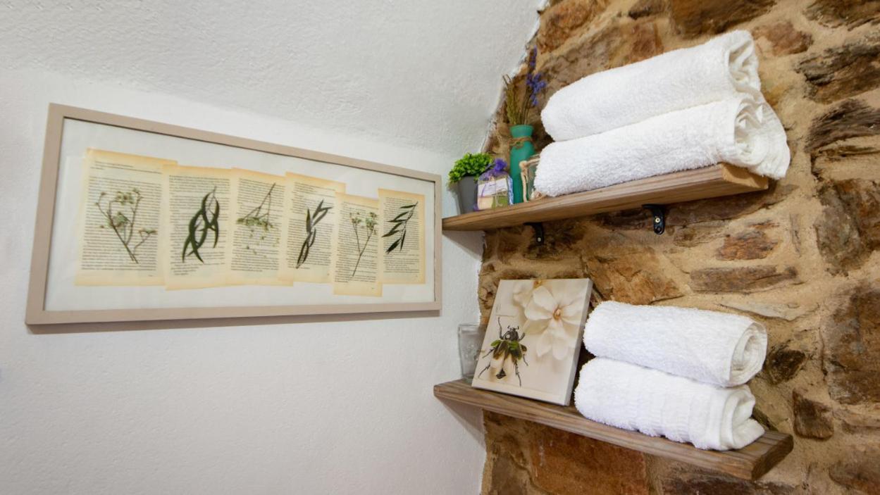 Apartamento Duplex Rural Con Chimenea Y Vistas Panoramicas Desde La Cama Sant Marti Sacalm Εξωτερικό φωτογραφία
