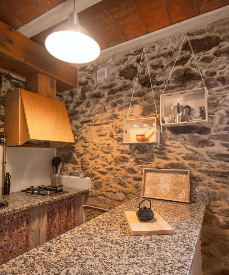 Apartamento Duplex Rural Con Chimenea Y Vistas Panoramicas Desde La Cama Sant Marti Sacalm Εξωτερικό φωτογραφία